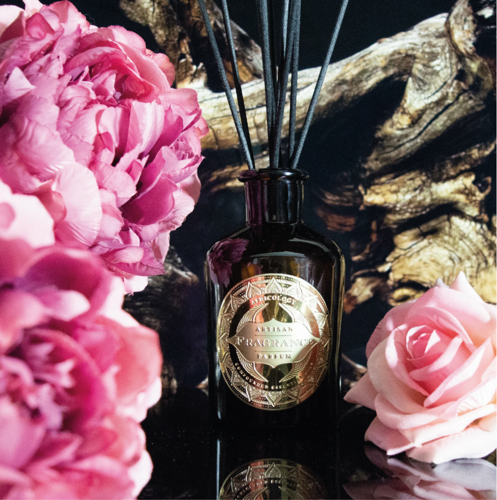 Rosé Oud Diffuser & Refill Bundle